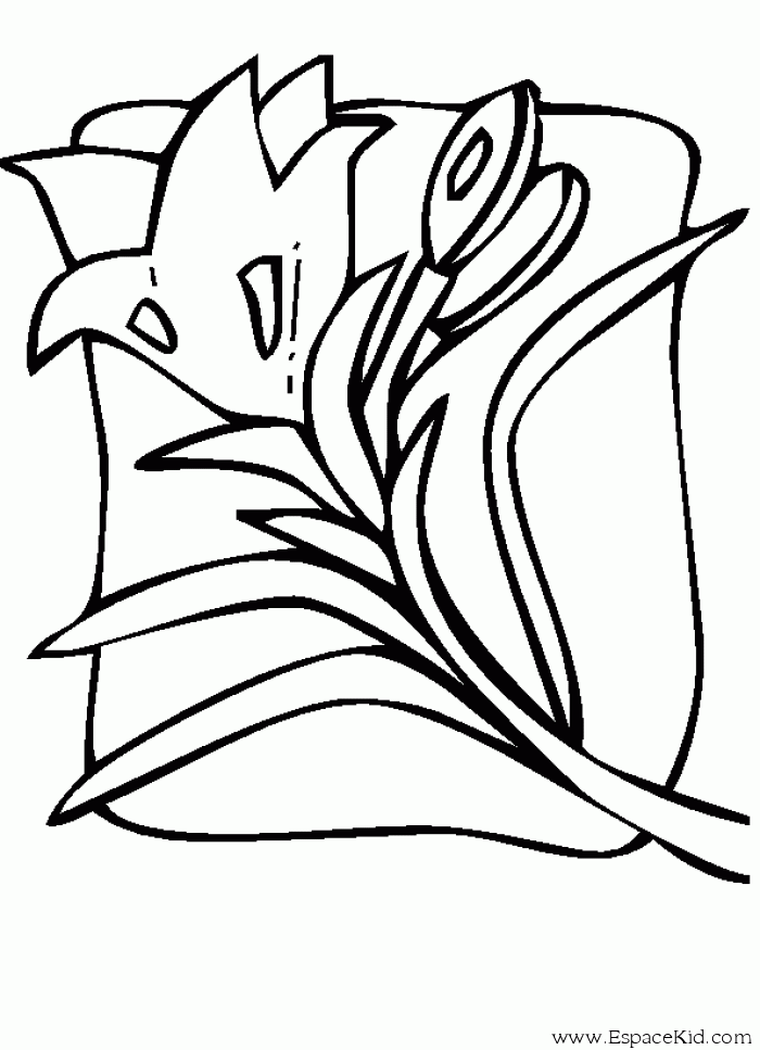 Coloring page: Tulip (Nature) #161703 - Free Printable Coloring Pages