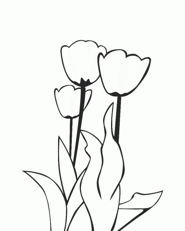 Coloring page: Tulip (Nature) #161707 - Free Printable Coloring Pages