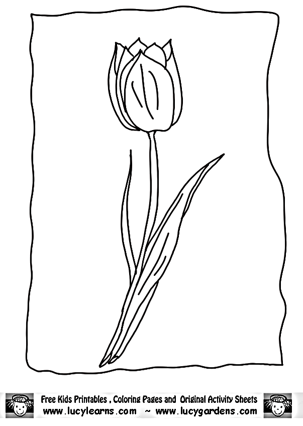 Coloring page: Tulip (Nature) #161712 - Free Printable Coloring Pages