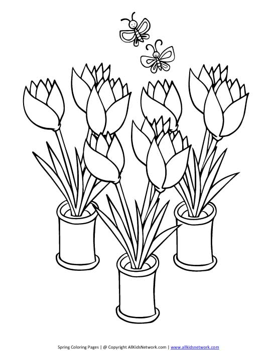 Coloring page: Tulip (Nature) #161714 - Free Printable Coloring Pages