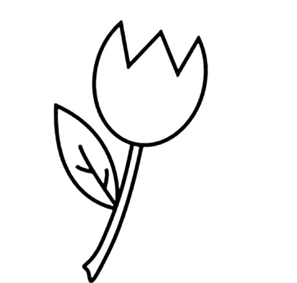 Coloring page: Tulip (Nature) #161717 - Free Printable Coloring Pages