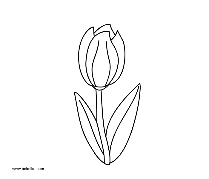 Coloring page: Tulip (Nature) #161723 - Free Printable Coloring Pages