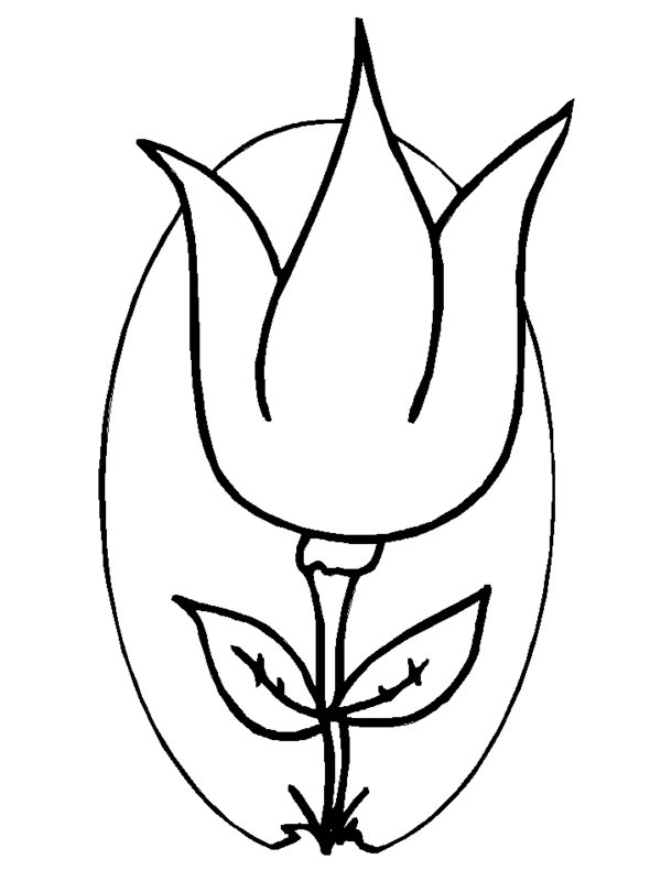 Coloring page: Tulip (Nature) #161736 - Free Printable Coloring Pages