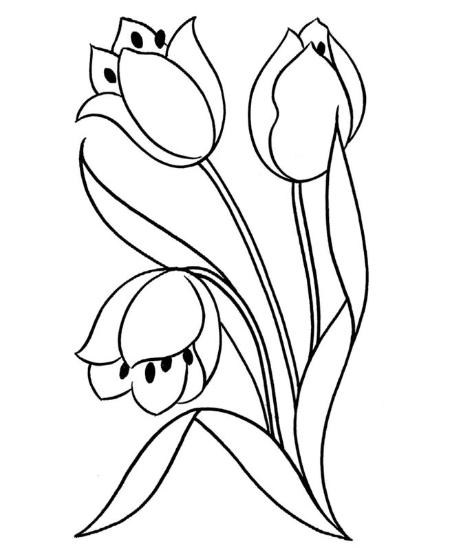 Coloring page: Tulip (Nature) #161748 - Free Printable Coloring Pages