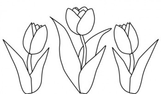 Coloring page: Tulip (Nature) #161755 - Free Printable Coloring Pages