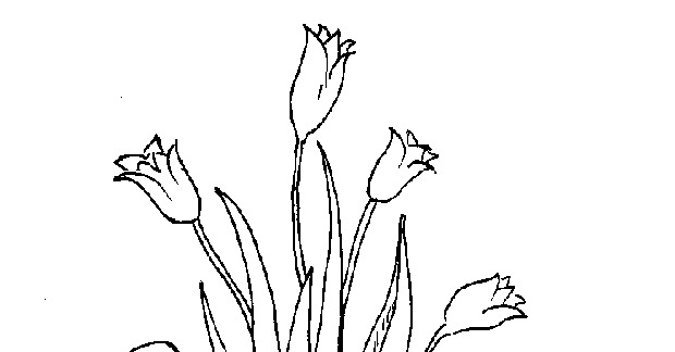 Coloring page: Tulip (Nature) #161761 - Free Printable Coloring Pages