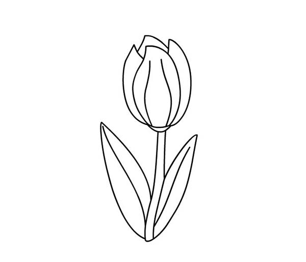 Coloring page: Tulip (Nature) #161767 - Free Printable Coloring Pages