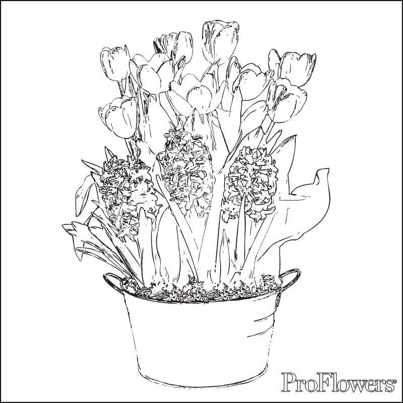 Coloring page: Tulip (Nature) #161792 - Free Printable Coloring Pages