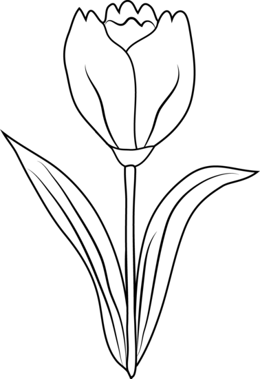 Coloring page: Tulip (Nature) #161793 - Free Printable Coloring Pages