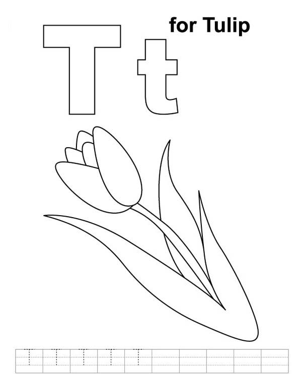 Coloring page: Tulip (Nature) #161796 - Free Printable Coloring Pages