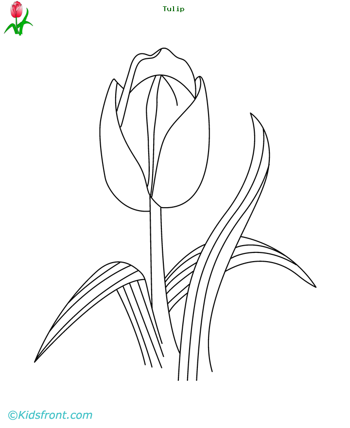 Coloring page: Tulip (Nature) #161797 - Free Printable Coloring Pages