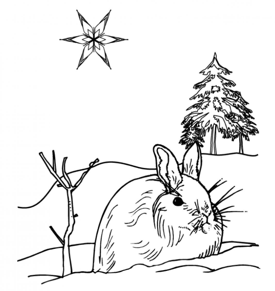 Coloring page: Winter season (Nature) #164716 - Free Printable Coloring Pages