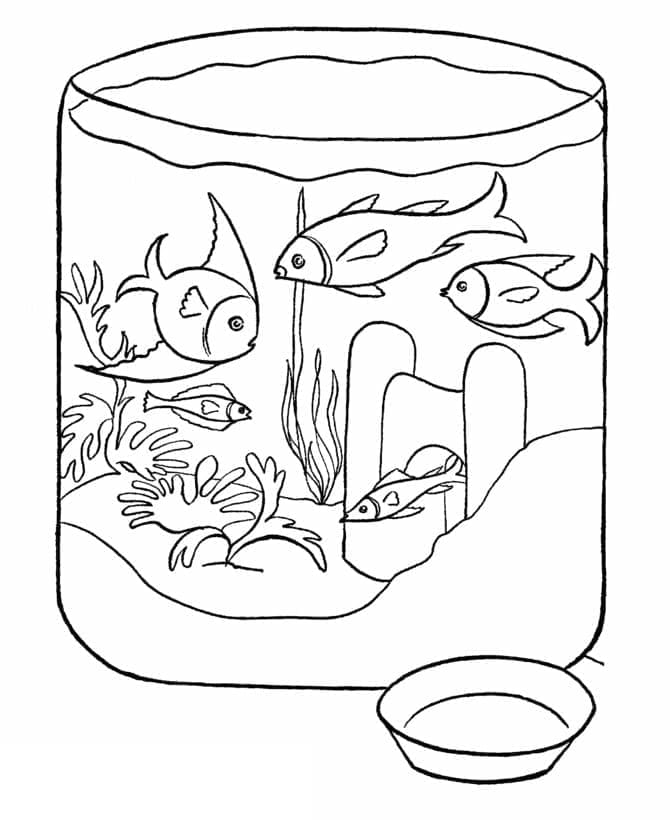 Free printable Aquarium coloring page #184554 from Objects collection Free printable Aquarium coloring page #184554 from Objects collection
