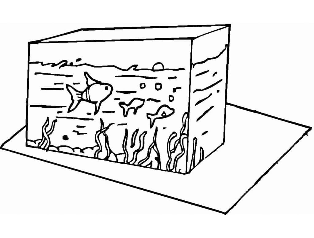 Free printable Aquarium coloring page #184562 from Objects collection Free printable Aquarium coloring page #184562 from Objects collection