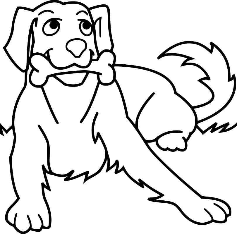 Free printable Dog Bone coloring page #189701 from Objects collection