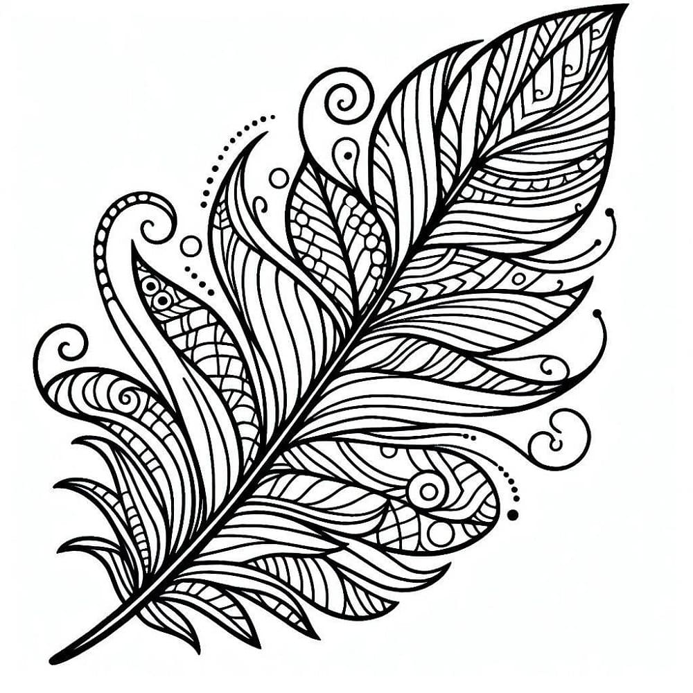 Free printable Feather coloring page #212610 from Objects collection