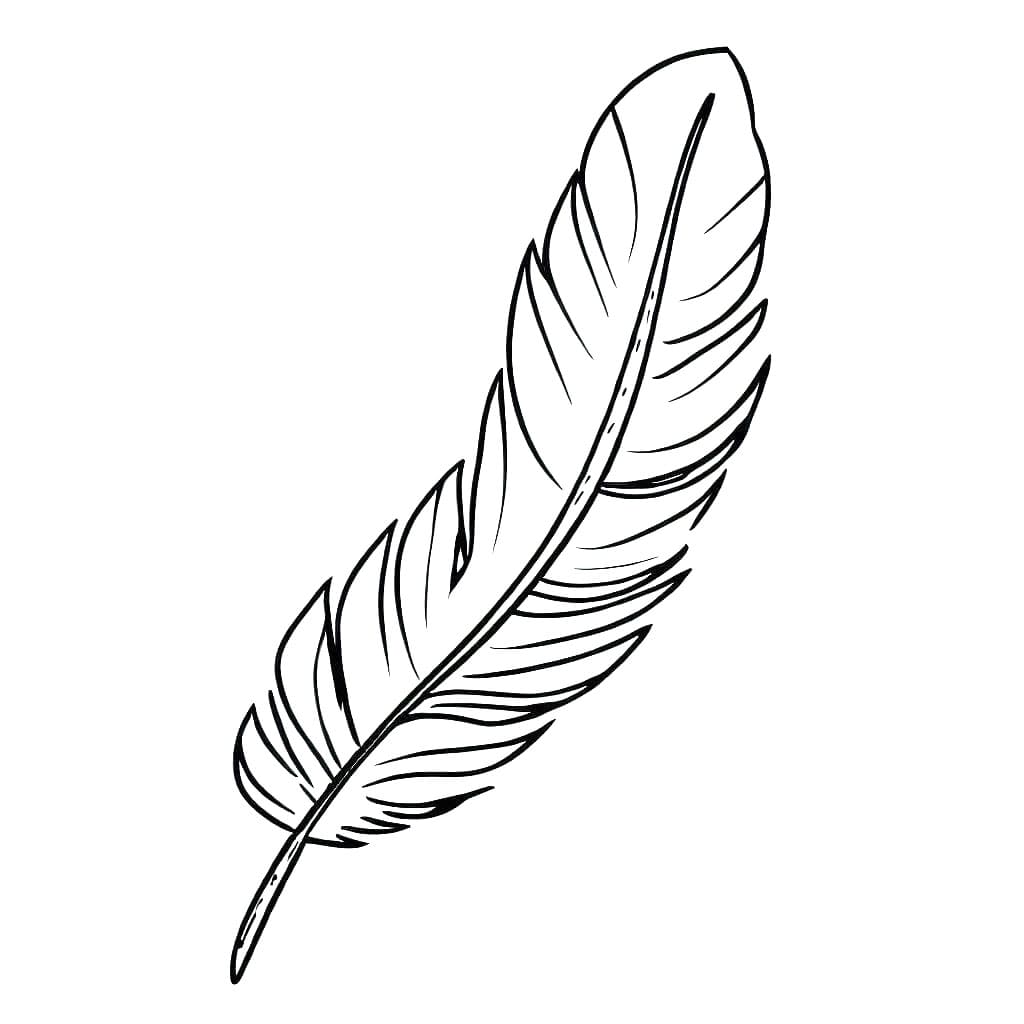 Free printable Feather coloring page #212616 from Objects collection Free printable Feather coloring page #212616 from Objects collection
