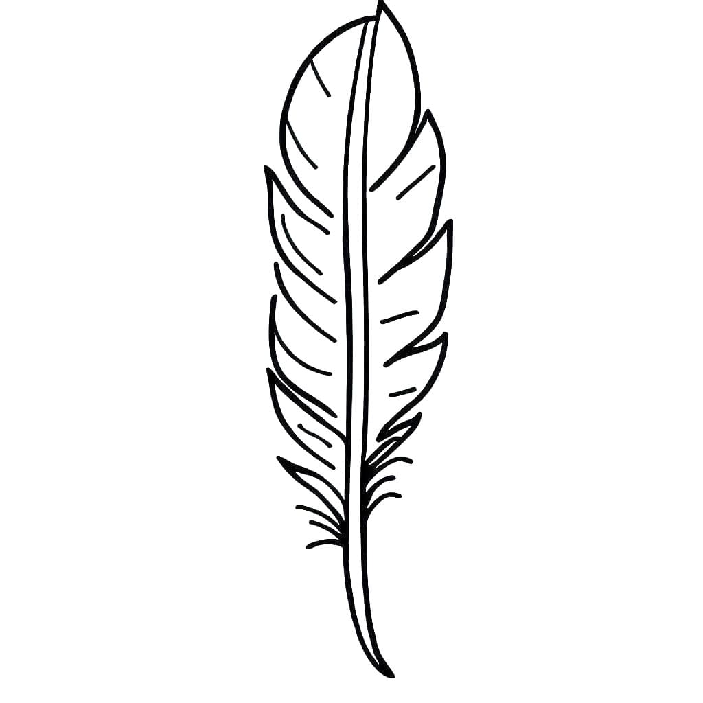 Free printable Feather coloring page #212624 from Objects collection
