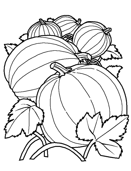 Coloring page: Pumpkin (Objects) #166946 - Free Printable Coloring Pages