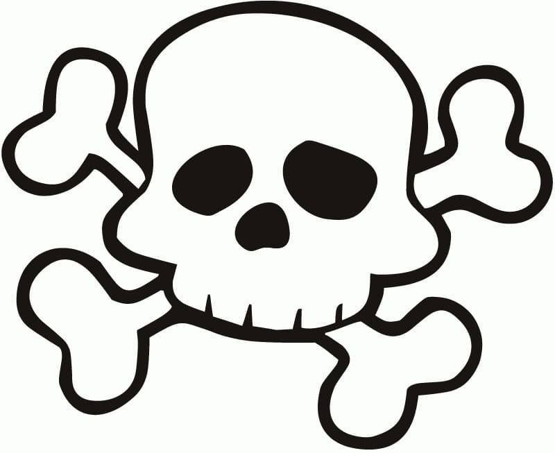 Free printable Skull coloring page #181135 from Objects collection