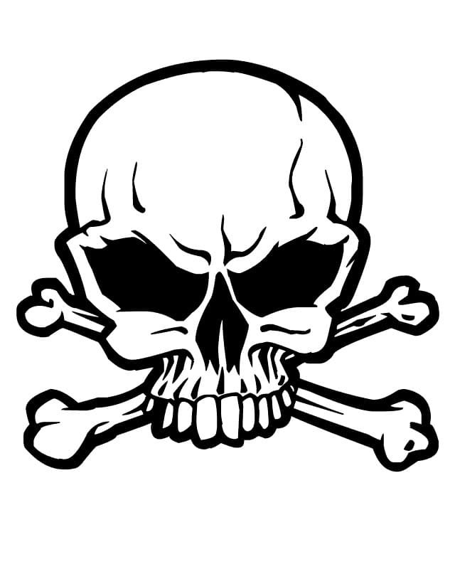 Free printable Skull coloring page #181140 from Objects collection