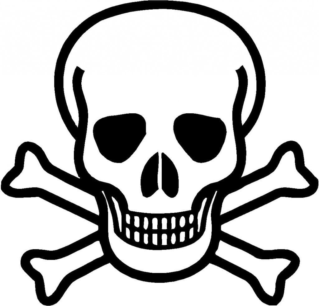 Free printable Skull coloring page #181145 from Objects collection