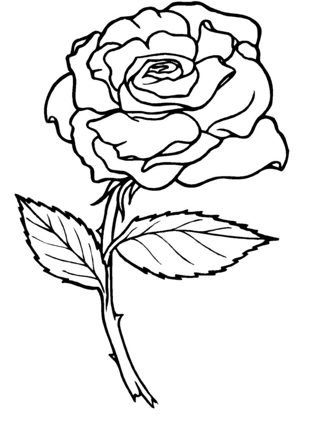 Coloring page: Tattoo (Others) #121167 - Printable coloring pages