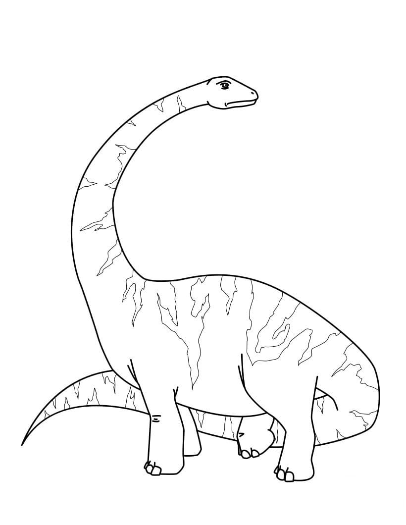 Free printable Diplodocus coloring page #212457 from Prehistoric Animals collection