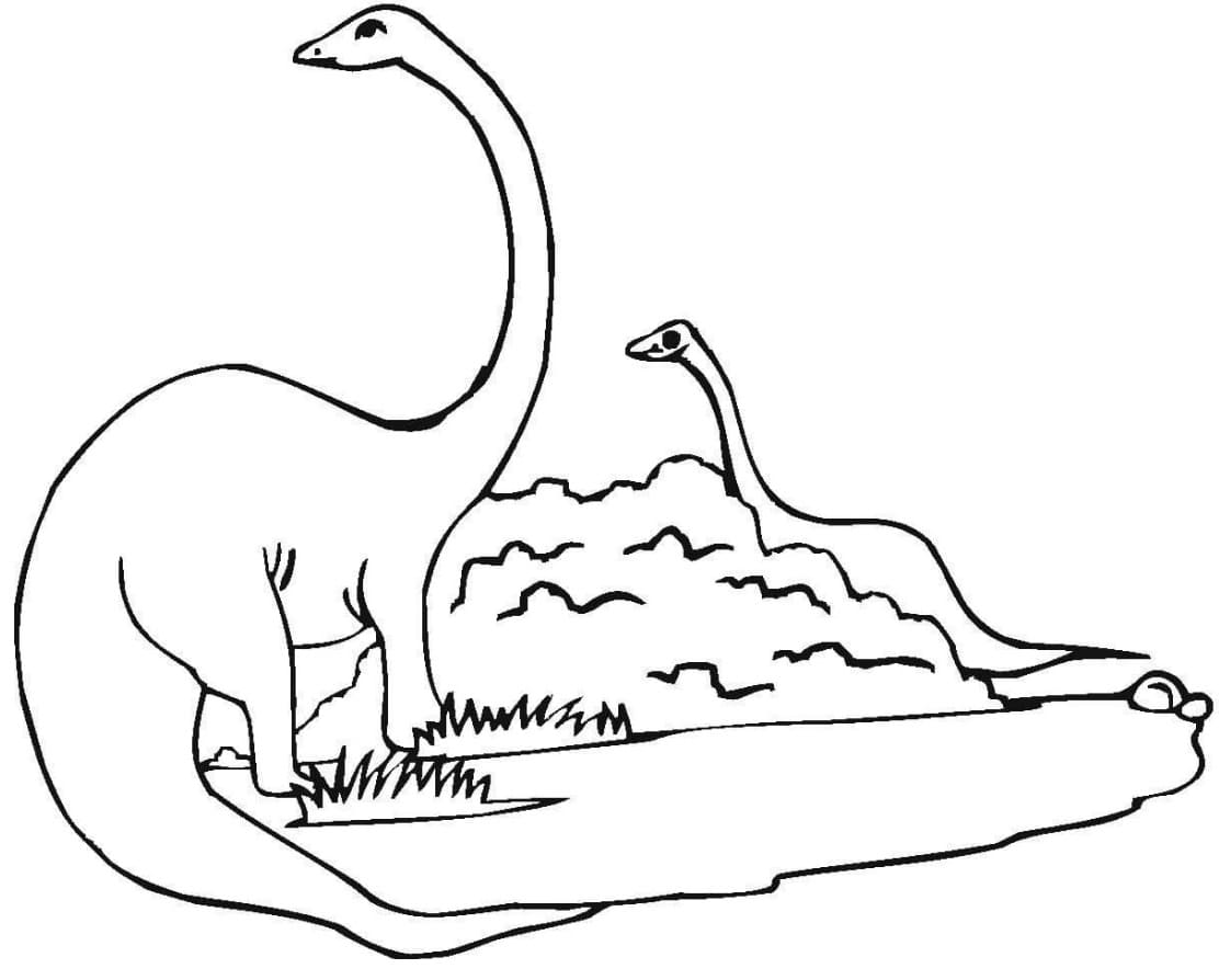 Free printable Diplodocus coloring page #212463 from Prehistoric Animals collection