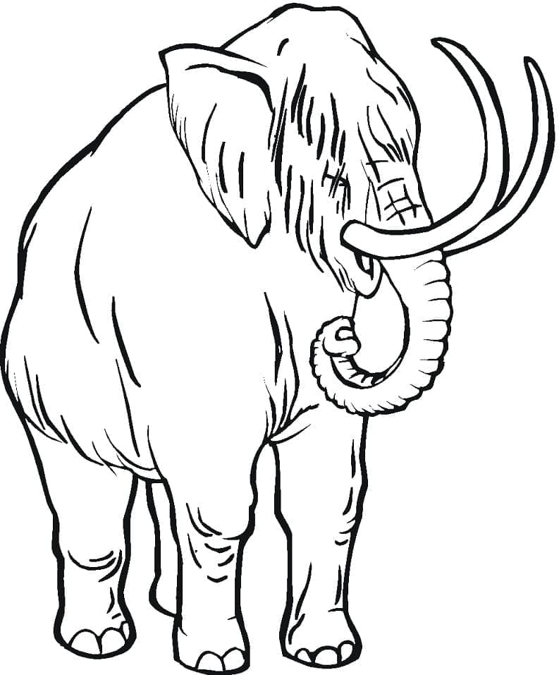 Free printable Mammoth coloring page #212518 from Prehistoric Animals collection