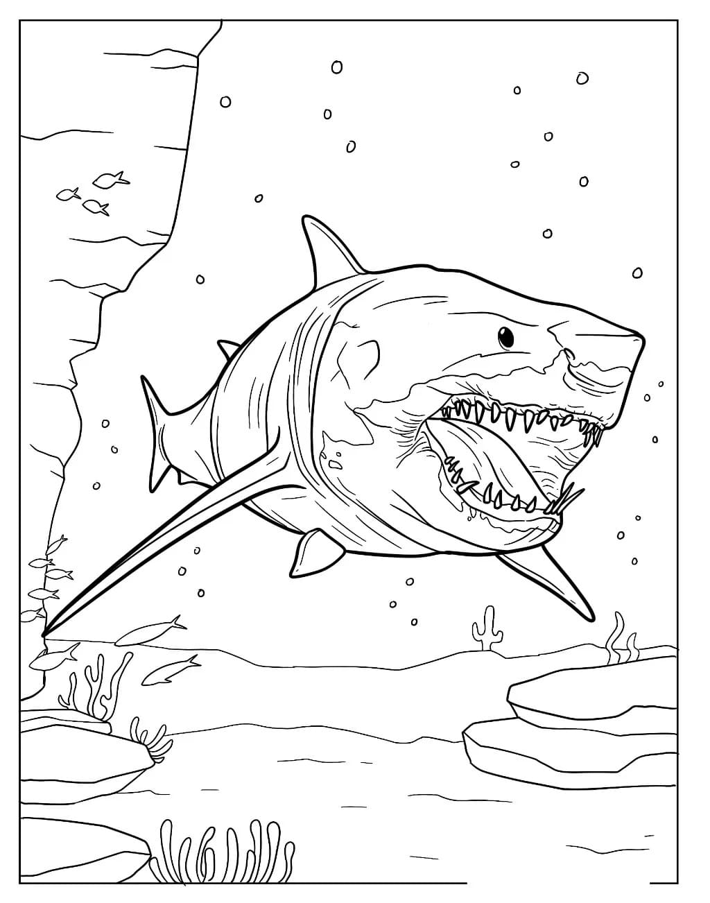 Free printable Megalodon coloring page #220696 from Prehistoric Animals collection