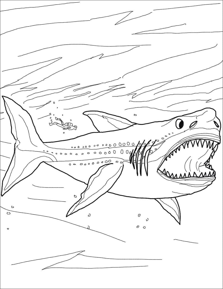 Free printable Megalodon coloring page #220709 from Prehistoric Animals collection