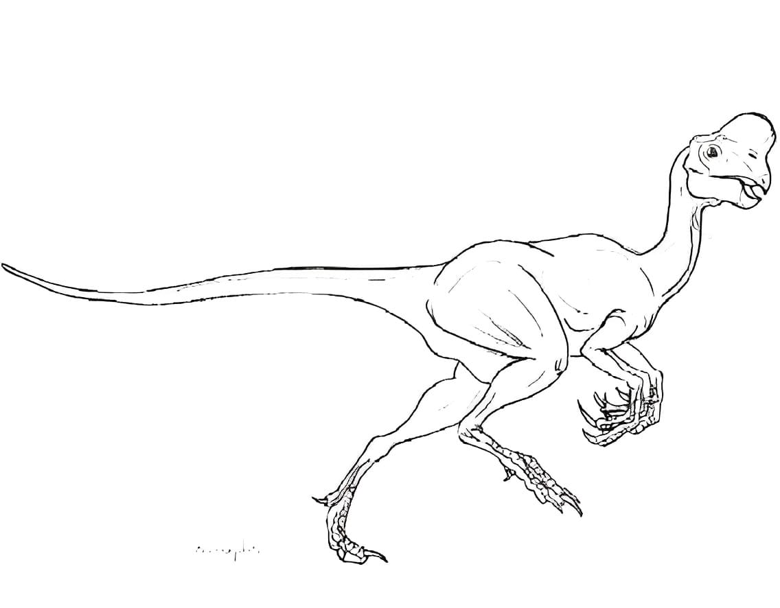 Free printable Oviraptor coloring page #186488 from Prehistoric Animals collection