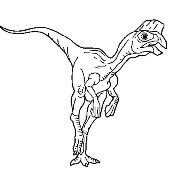 Free printable Oviraptor coloring page #186492 from Prehistoric Animals collection Free printable Oviraptor coloring page #186492 from Prehistoric Animals collection