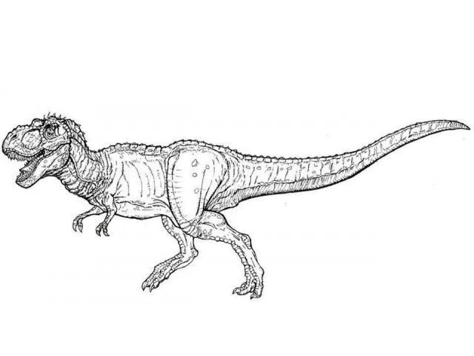 Free printable T-Rex coloring page #180080 from Prehistoric Animals collection