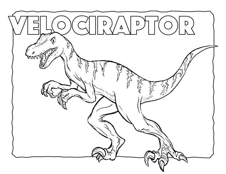 Free printable Velociraptor coloring page #214485 from Prehistoric Animals collection