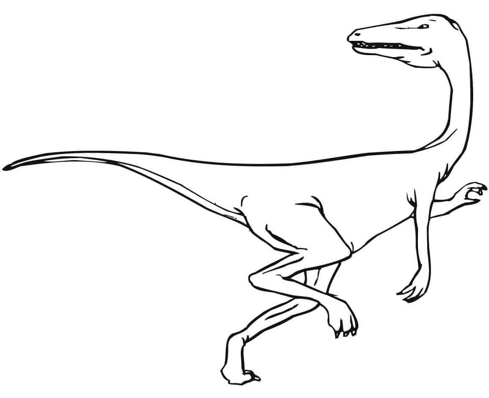 Free printable Velociraptor coloring page #214487 from Prehistoric Animals collection