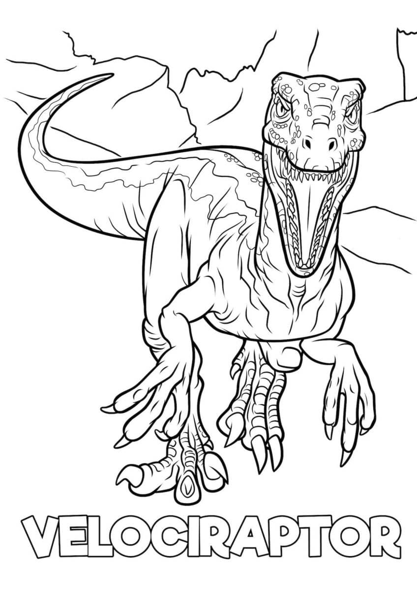 Free printable Velociraptor coloring page #214492 from Prehistoric Animals collection Free printable Velociraptor coloring page #214492 from Prehistoric Animals collection