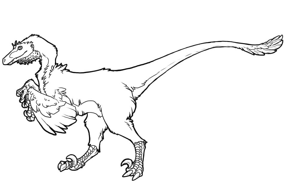 Free printable Velociraptor coloring page #214494 from Prehistoric Animals collection