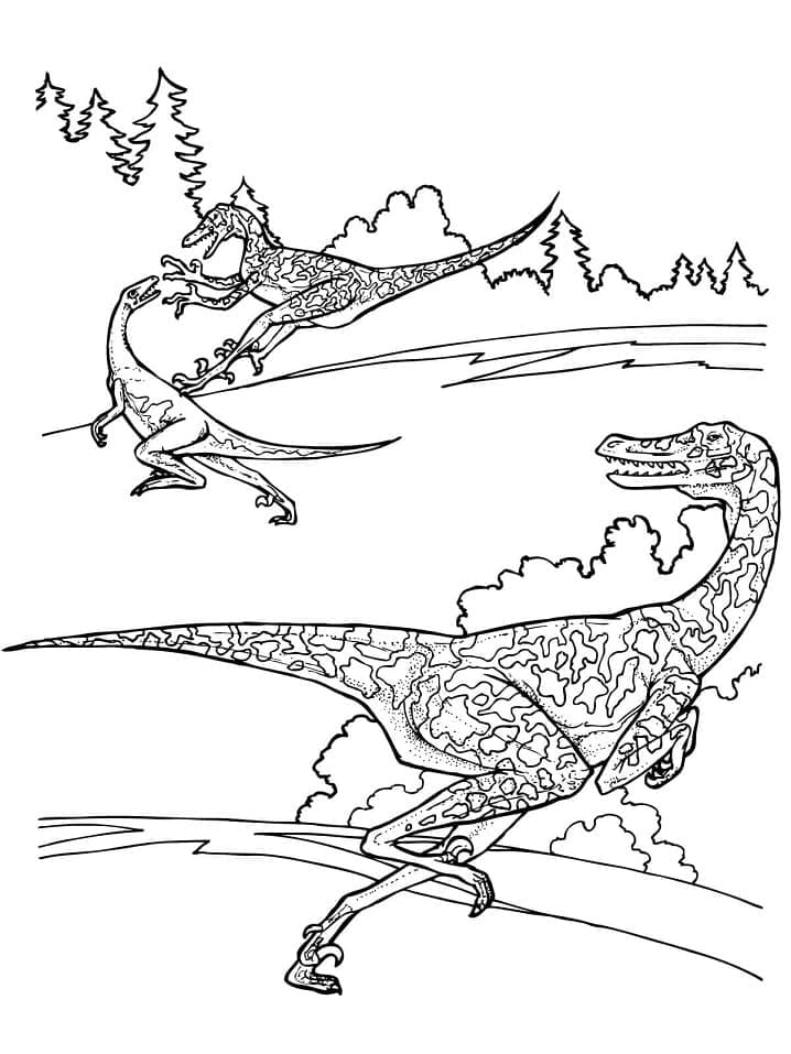 Free printable Velociraptor coloring page #214496 from Prehistoric Animals collection Free printable Velociraptor coloring page #214496 from Prehistoric Animals collection
