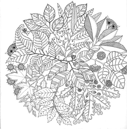 Coloring page: Anti-stress (Relaxation) #126896 - Free Printable Coloring Pages