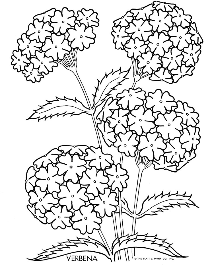 Coloring page: Anti-stress (Relaxation) #127104 - Free Printable Coloring Pages