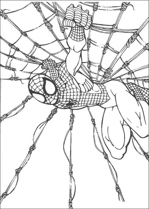 Free printable Spider-Man coloring page #78793 from Superheroes and Supervillains collection