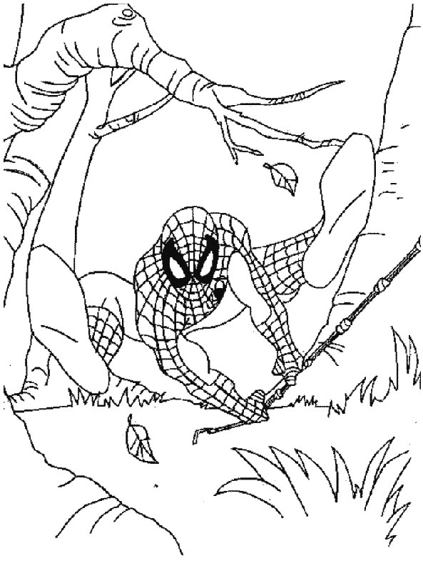 Coloring page: Spiderman (Superheroes) #78893 - Free Printable Coloring Pages