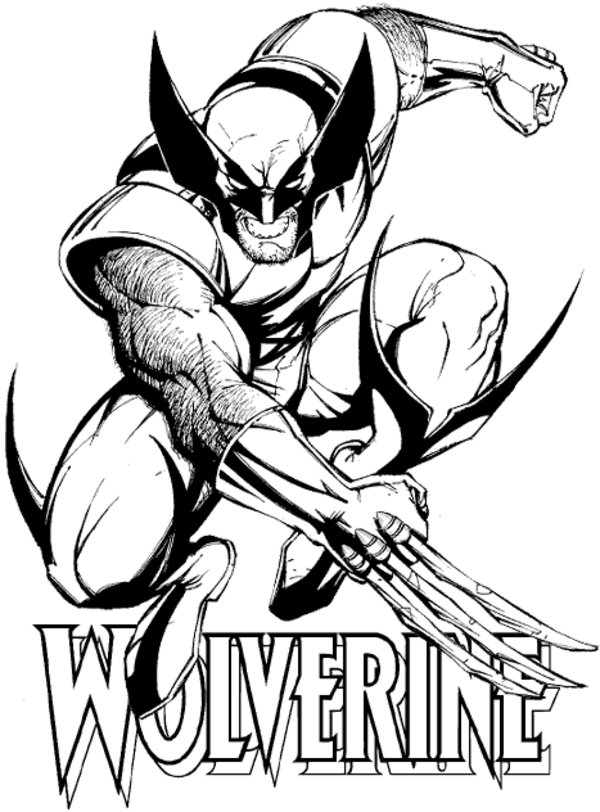 Drawings Wolverine Superheroes Printable Coloring Pages