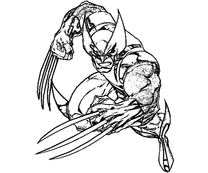 wolverine animal coloring pages for kids