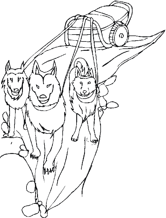 Coloring page: Dog Sled (Transportation) #142636 - Free Printable Coloring Pages
