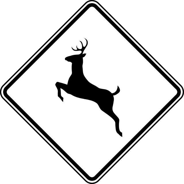 Free printable Road sign coloring page #119229 from Transportation collection