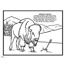 Bison (Buffalo) (Animals) coloring page #1257 to print and color