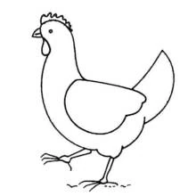 Chicken (Animals) coloring page #17275 to print and color
